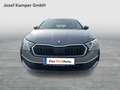 Skoda Octavia Selection TDI DSG Grau - thumbnail 8
