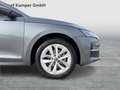 Skoda Octavia Selection TDI DSG Grau - thumbnail 7