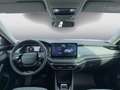 Skoda Octavia Selection TDI DSG Grau - thumbnail 11