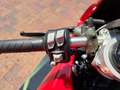 Ducati Panigale V2 Rosso - thumbnail 15