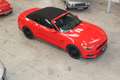 Ford Mustang 5,0 TI-VCT V8 GT Cabrio Aut. Rot - thumbnail 6