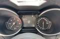 Alfa Romeo Stelvio 2.2 Turbodiesel 160 CV AT8 RWD Sprint Gris - thumbnail 14