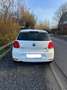 Volkswagen Polo 1.2 TSI Comfortline BMT DSG - thumbnail 2
