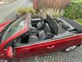 Volkswagen Golf Cabriolet Golf Cabrio 1.2 TSI BlueMotion Technology Life Red - thumbnail 4