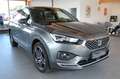 SEAT Tarraco 2.0 TSI DSG Xcellence 4Drive Grau - thumbnail 3