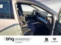 SEAT Arona FR 1.0 TSI 7-Gang-D Weiß - thumbnail 8