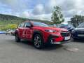 Subaru Crosstrek 2,0ie-HYBRID TREND (D) / COMFORT (L) Rouge - thumbnail 13