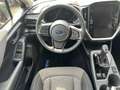 Subaru Crosstrek 2,0ie-HYBRID TREND (D) / COMFORT (L) Rouge - thumbnail 8