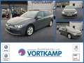 Volkswagen Golf VIII Variant AHK/Pano/HarmanKardon/IQLight Grau - thumbnail 1