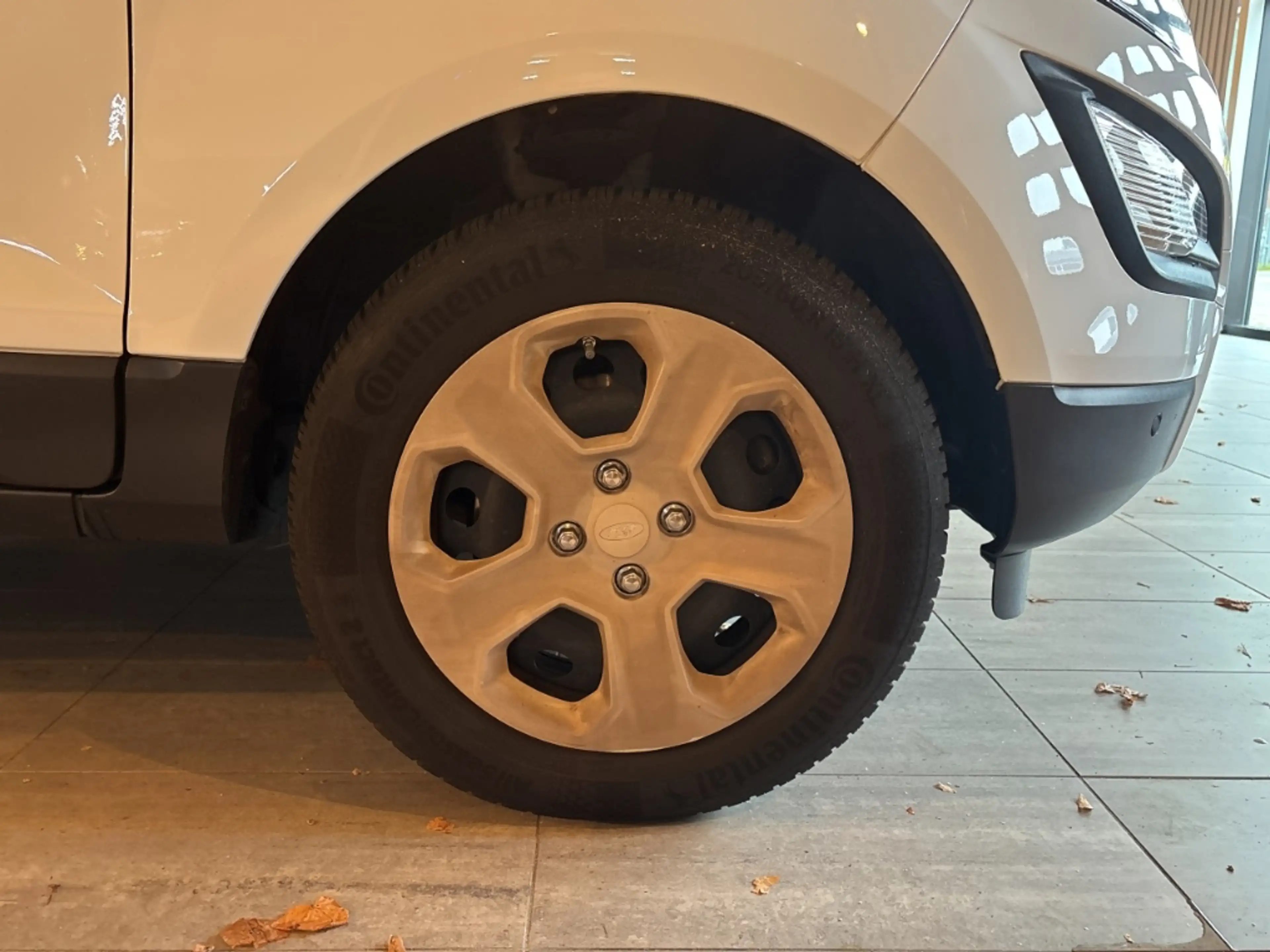 Ford EcoSport TREND COOL & SOUND-PAKET / WINTER-PAKET — photo 11