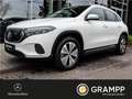 Mercedes-Benz EQA 250 Advanced-Paket/Panorama/Smart-Phone int. bijela - thumbnail 1