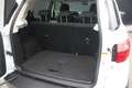 Ford EcoSport Trend | Dealer o.h. | Parkeercamera | Navigatie in Blanco - thumbnail 19