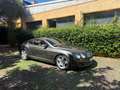 Bentley Continental GT no superbollo PERFETTA Gri - thumbnail 4