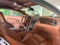 Bentley Continental GT no superbollo PERFETTA Gri - thumbnail 11