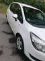 Opel Meriva Meriva 1,4 Ecotec Cool Weiß - thumbnail 6