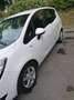 Opel Meriva Meriva 1,4 Ecotec Cool Weiß - thumbnail 7