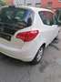 Opel Meriva Meriva 1,4 Ecotec Cool Weiß - thumbnail 3