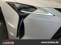 Lexus LC 500 Ultimate Edition*HakuginWhite*5.0*V8* Biały - thumbnail 7