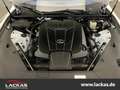 Lexus LC 500 Ultimate Edition*HakuginWhite*5.0*V8* Blanco - thumbnail 26