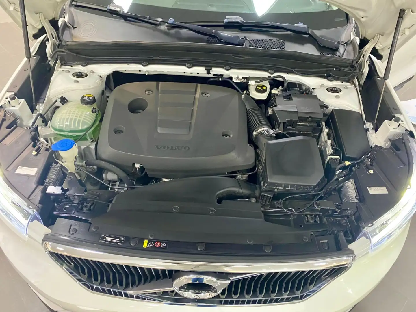 Volvo XC40 D4 Business Plus AWD Aut. Blanco - 2