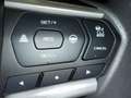 Isuzu D-Max 1.9 td crew N60BB+ 4x4 auto Nuovo Modello 2025 Grau - thumbnail 15