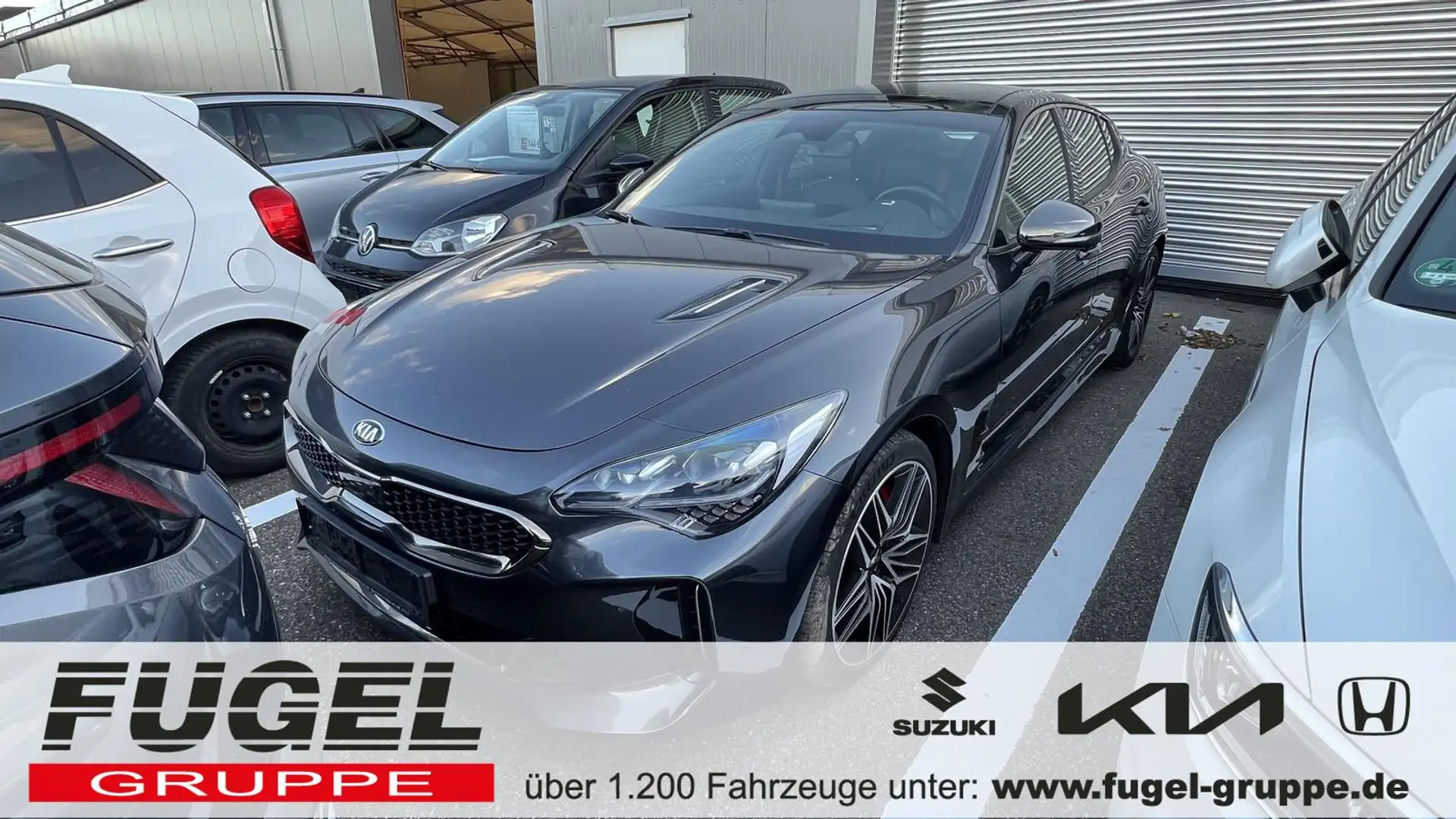 Kia Stinger 3.3 V6 T-GDI GT 4WD Pano|LED|HuD|Navi|Leder|360° Gris - 1