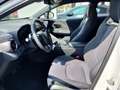 Toyota C-HR 1.8 HV Lounge - thumbnail 13
