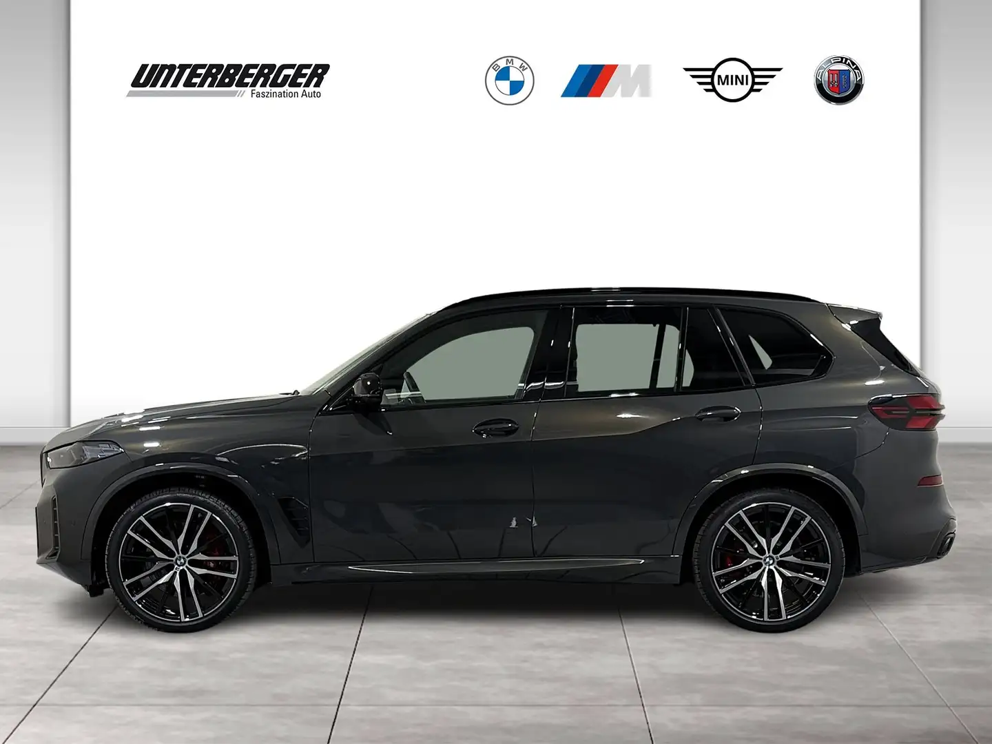 BMW X5 M60i xDrive Luftfederung Standhzg AHK ACC HK Gris - 2
