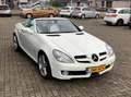 Mercedes-Benz SLK 200 K. Prestige, 2look edition, zeer compleet, nekverw Biały - thumbnail 10