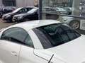 Mercedes-Benz SLK 200 K. Prestige, 2look edition, zeer compleet, nekverw Biały - thumbnail 6