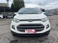 Ford EcoSport 1.5 TDCi 95 CV Business Blanc - thumbnail 2