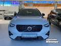 Volvo XC40 B4 B DKG Plus Dark Fahrerass-Paket+Licht-Pake Grau - thumbnail 14