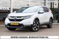 Honda CR-V 2.0 e:HEV 184pk 4WD Executive Autom. navigatie Weiß - thumbnail 1