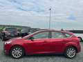 Ford Focus Lim. Titanium Navi Kamera LED Rot - thumbnail 3