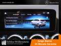 Mercedes-Benz B 250 4M Progressive/LED/AHK/Pano-D/Business-P Mavi - thumbnail 9