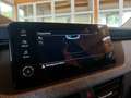 Skoda Kamiq 1,0 TSI Selection DSG Grau - thumbnail 23