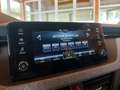 Skoda Kamiq 1,0 TSI Selection DSG Grau - thumbnail 20