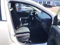 Kia Picanto 1.2 Edition 7 Sitzhzg. Wit - thumbnail 14