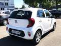 Kia Picanto 1.2 Edition 7 Sitzhzg. Wit - thumbnail 5