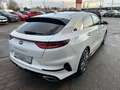 Kia ProCeed / pro_cee'd PROCEED 1.6T DCT7 GT NAVI KOMFORT Weiß - thumbnail 6