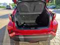Toyota C-HR Hybrid 1,8 Team D/Navi Rot - thumbnail 13