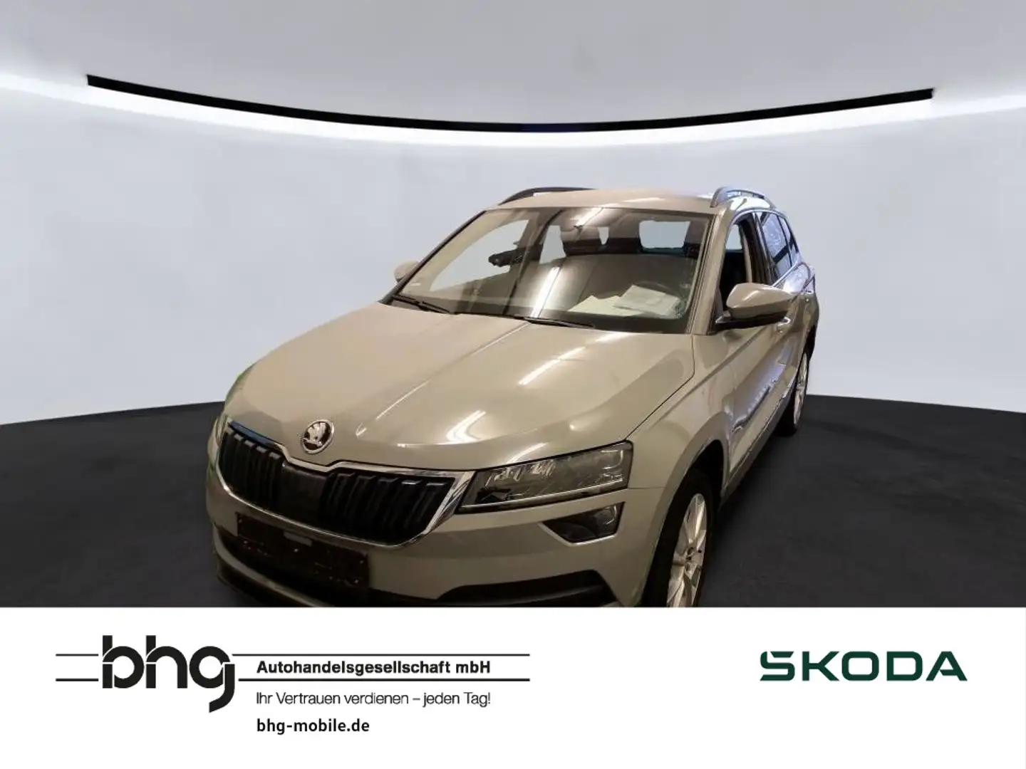 Skoda Karoq 2.0 TDI DSG Style Grau - 1