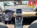 Lexus NX 350h - thumbnail 10