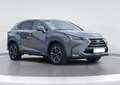 Lexus NX 350h - thumbnail 7