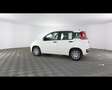 Fiat Panda 1.0 FireFly Hybrid Bianco - thumbnail 15