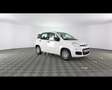 Fiat Panda 1.0 FireFly Hybrid Bianco - thumbnail 6