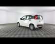 Fiat Panda 1.0 FireFly Hybrid Bianco - thumbnail 14