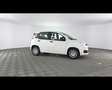 Fiat Panda 1.0 FireFly Hybrid Bianco - thumbnail 7
