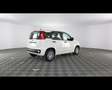 Fiat Panda 1.0 FireFly Hybrid Bianco - thumbnail 10
