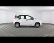 Fiat Panda 1.0 FireFly Hybrid Bianco - thumbnail 8